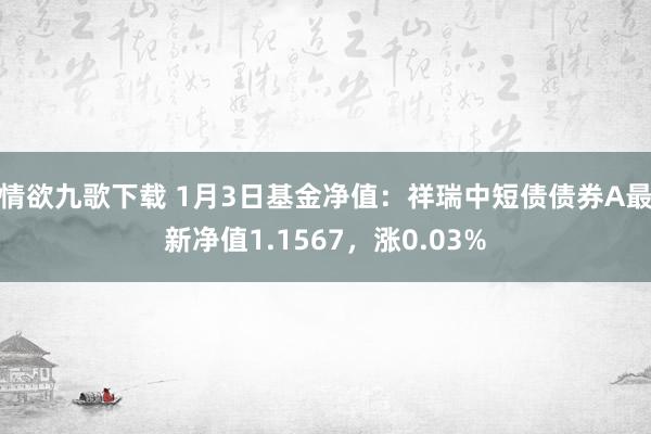 情欲九歌下载 1月3日基金净值：祥瑞中短债债券A最新净值1.1567，涨0.03%