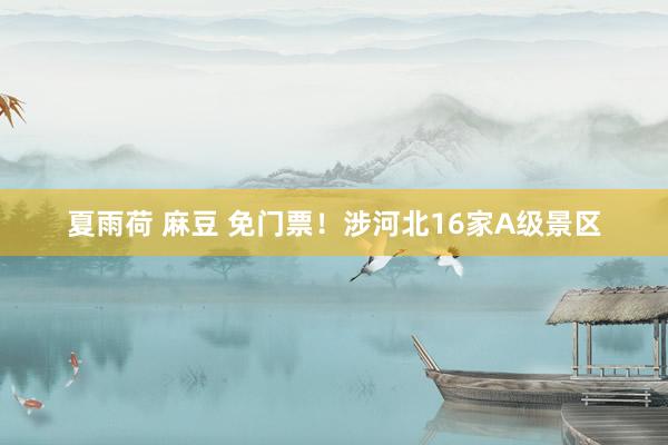 夏雨荷 麻豆 免门票！涉河北16家A级景区