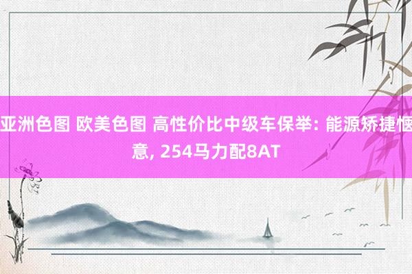 亚洲色图 欧美色图 高性价比中级车保举: 能源矫捷惬意， 254马力配8AT