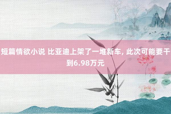 短篇情欲小说 比亚迪上架了一堆新车， 此次可能要干到6.98万元