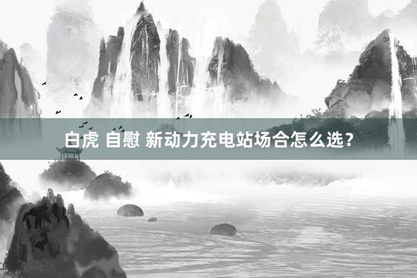 白虎 自慰 新动力充电站场合怎么选？