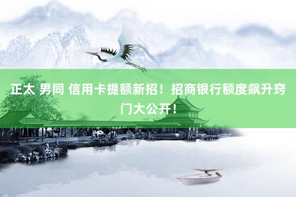 正太 男同 信用卡提额新招！招商银行额度飙升窍门大公开！