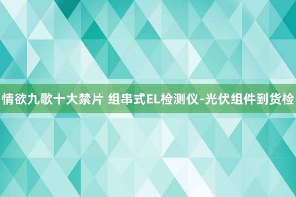 情欲九歌十大禁片 组串式EL检测仪-光伏组件到货检