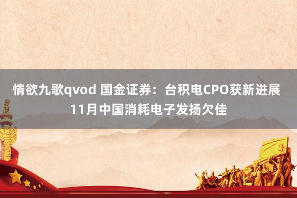 情欲九歌qvod 国金证券：台积电CPO获新进展 11月中国消耗电子发扬欠佳