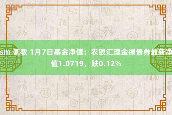 sm 调教 1月7日基金净值：农银汇理金禄债券最新净值1.0719，跌0.12%