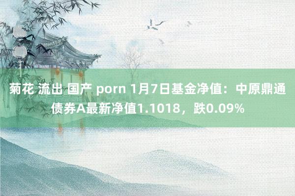 菊花 流出 国产 porn 1月7日基金净值：中原鼎通债券A最新净值1.1018，跌0.09%