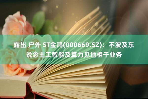 露出 户外 ST金鸿(000669.SZ)：不波及东说念主工智能及算力见地相干业务