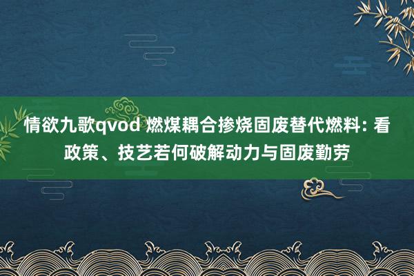 情欲九歌qvod 燃煤耦合掺烧固废替代燃料: 看政策、技艺若何破解动力与固废勤劳