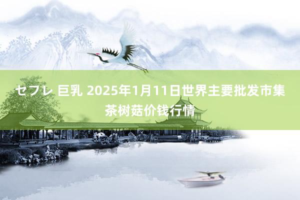 セフレ 巨乳 2025年1月11日世界主要批发市集茶树菇价钱行情