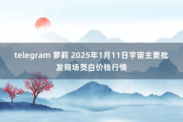 telegram 萝莉 2025年1月11日宇宙主要批发商场茭白价钱行情