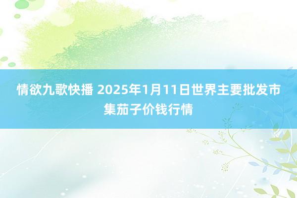 情欲九歌快播 2025年1月11日世界主要批发市集茄子价钱行情