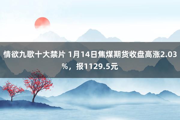 情欲九歌十大禁片 1月14日焦煤期货收盘高涨2.03%，报1129.5元