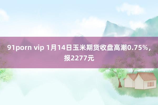 91porn vip 1月14日玉米期货收盘高潮0.75%，报2277元