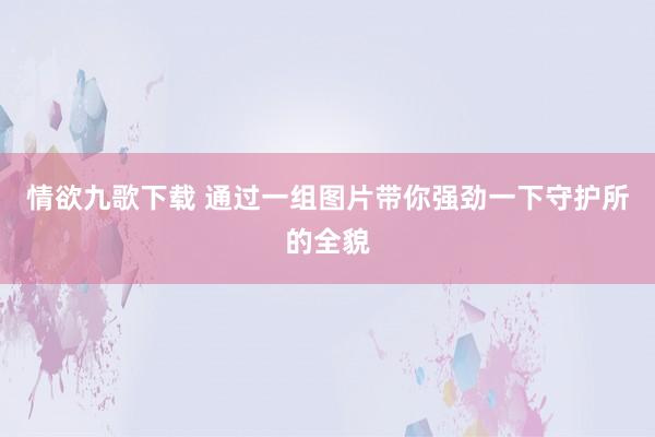 情欲九歌下载 通过一组图片带你强劲一下守护所的全貌