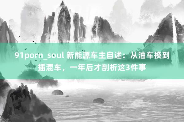 91porn_soul 新能源车主自述：从油车换到插混车，一年后才剖析这3件事