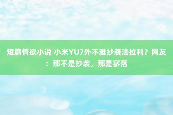 短篇情欲小说 小米YU7外不雅抄袭法拉利？网友：那不是抄袭，那是寥落