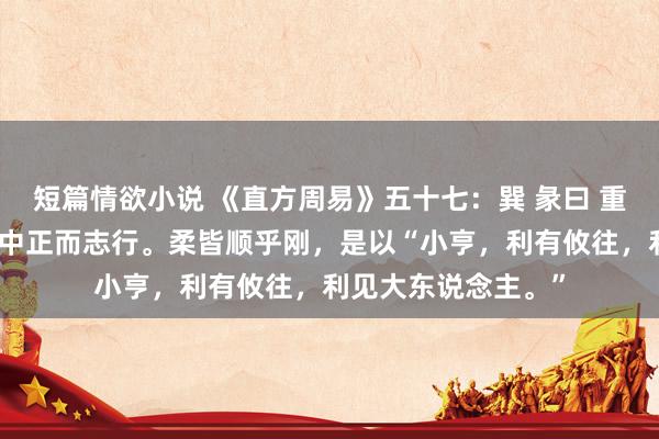 短篇情欲小说 《直方周易》五十七：巽 彖曰 重巽以申命，刚巽乎中正而志行。柔皆顺乎刚，是以“小亨，利有攸往，利见大东说念主。”