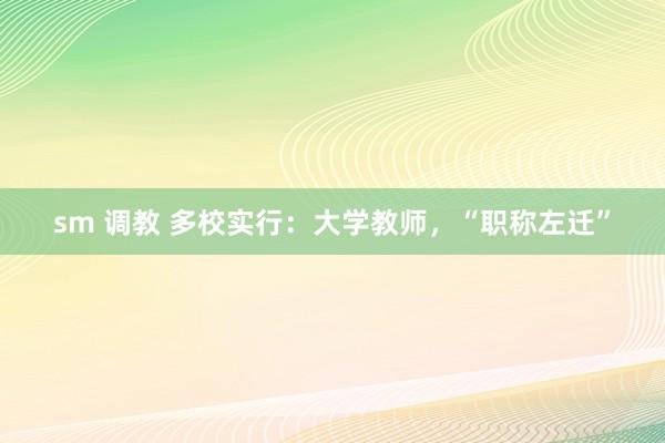 sm 调教 多校实行：大学教师，“职称左迁”