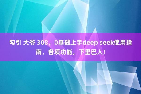 勾引 大爷 308，0基础上手deep seek使用指南，各项功能，下里巴人！