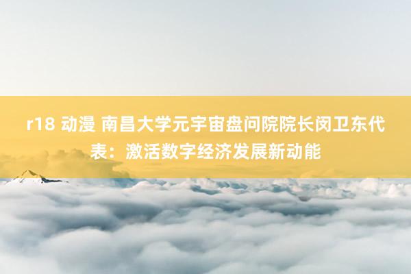 r18 动漫 南昌大学元宇宙盘问院院长闵卫东代表：激活数字经济发展新动能