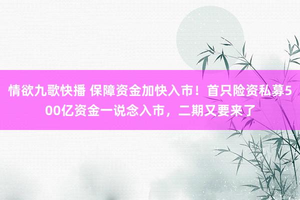 情欲九歌快播 保障资金加快入市！首只险资私募500亿资金一说念入市，二期又要来了