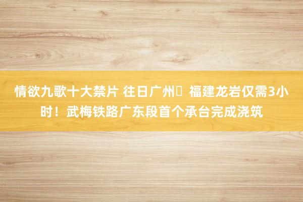 情欲九歌十大禁片 往日广州⇌福建龙岩仅需3小时！武梅铁路广东段首个承台完成浇筑