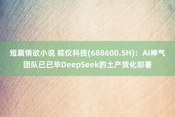短篇情欲小说 皖仪科技(688600.SH)：AI神气团队已已毕DeepSeek的土产货化部署