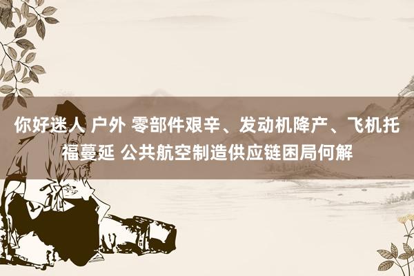 你好迷人 户外 零部件艰辛、发动机降产、飞机托福蔓延 公共航空制造供应链困局何解