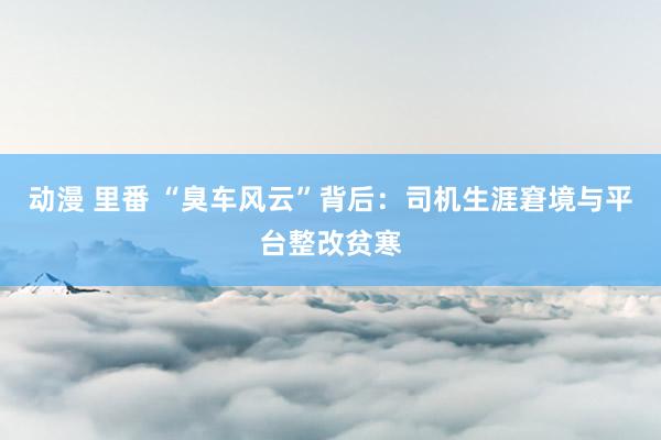 动漫 里番 “臭车风云”背后：司机生涯窘境与平台整改贫寒