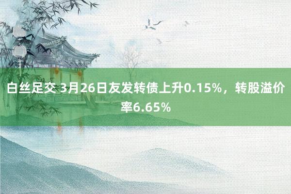 白丝足交 3月26日友发转债上升0.15%，转股溢价率6.65%