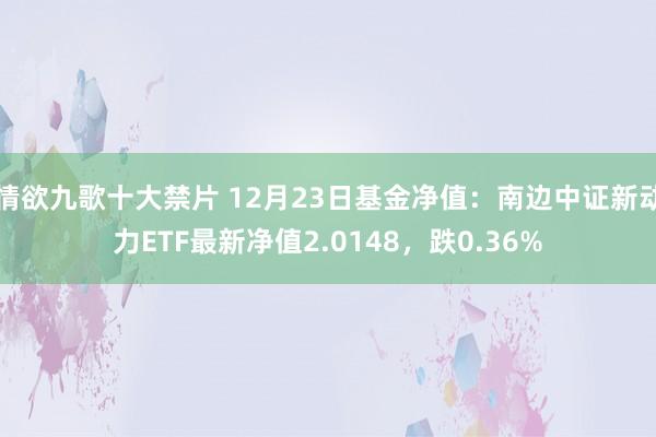 情欲九歌十大禁片 12月23日基金净值：南边中证新动力ETF最新净值2.0148，跌0.36%