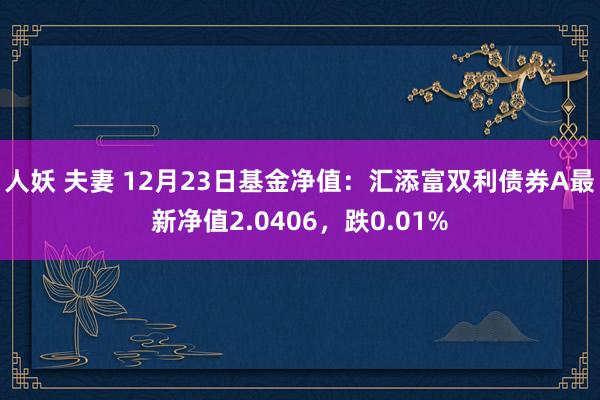 人妖 夫妻 12月23日基金净值：汇添富双利债券A最新净值2.0406，跌0.01%