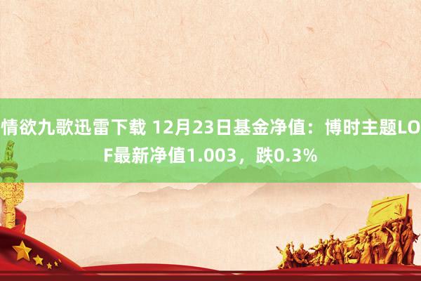 情欲九歌迅雷下载 12月23日基金净值：博时主题LOF最新净值1.003，跌0.3%