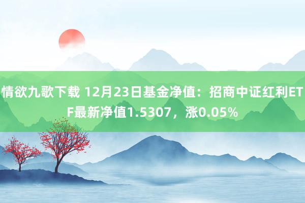 情欲九歌下载 12月23日基金净值：招商中证红利ETF最新净值1.5307，涨0.05%