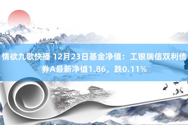 情欲九歌快播 12月23日基金净值：工银瑞信双利债券A最新净值1.86，跌0.11%