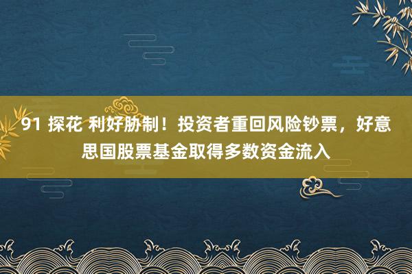91 探花 利好胁制！投资者重回风险钞票，好意思国股票基金取得多数资金流入