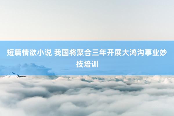 短篇情欲小说 我国将聚合三年开展大鸿沟事业妙技培训