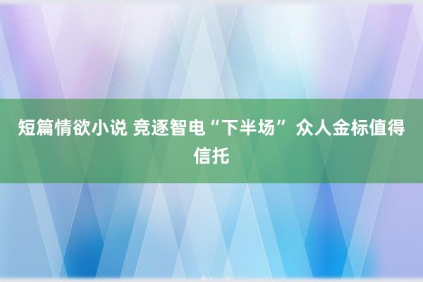 短篇情欲小说 竞逐智电“下半场” 众人金标值得信托