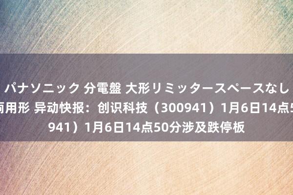 パナソニック 分電盤 大形リミッタースペースなし 露出・半埋込両用形 异动快报：创识科技（300941）1月6日14点50分涉及跌停板