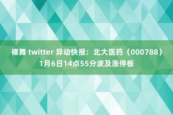 裸舞 twitter 异动快报：北大医药（000788）1月6日14点55分波及涨停板