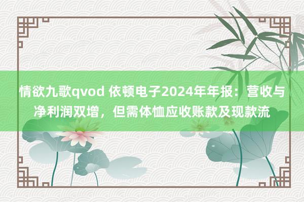 情欲九歌qvod 依顿电子2024年年报：营收与净利润双增，但需体恤应收账款及现款流