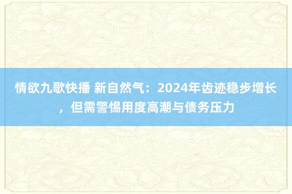 情欲九歌快播 新自然气：2024年齿迹稳步增长，但需警惕用度高潮与债务压力