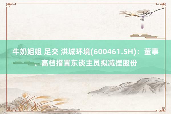 牛奶姐姐 足交 洪城环境(600461.SH)：董事、高档措置东谈主员拟减捏股份
