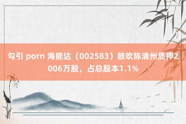 勾引 porn 海能达（002583）鼓吹陈清州质押2006万股，占总股本1.1%
