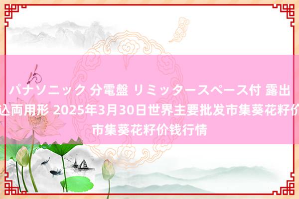 パナソニック 分電盤 リミッタースペース付 露出・半埋込両用形 2025年3月30日世界主要批发市集葵花籽价钱行情