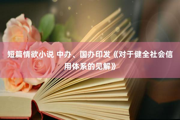 短篇情欲小说 中办、国办印发《对于健全社会信用体系的见解》