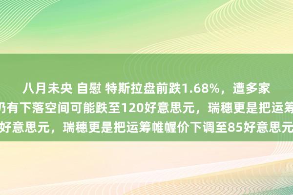八月未央 自慰 特斯拉盘前跌1.68%，遭多家机构看空！摩根大通：仍有下落空间可能跌至120好意思元，瑞穗更是把运筹帷幄价下调至85好意思元