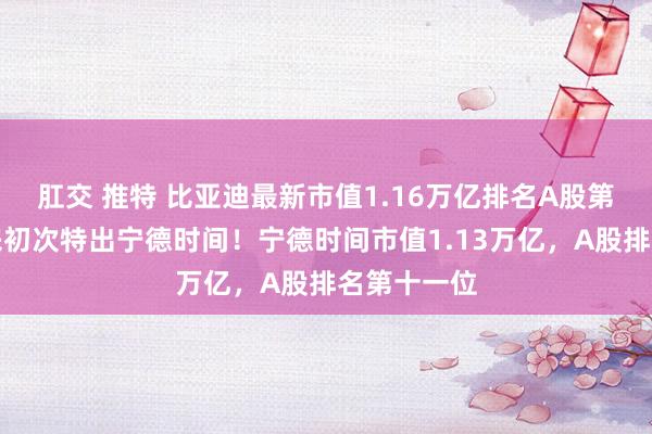 肛交 推特 比亚迪最新市值1.16万亿排名A股第九，七年来初次特出宁德时间！宁德时间市值1.13万亿，A股排名第十一位