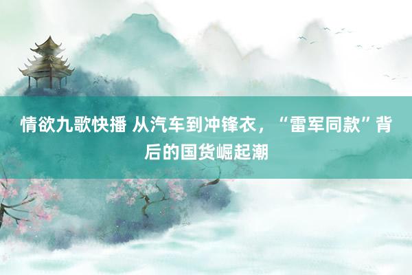 情欲九歌快播 从汽车到冲锋衣，“雷军同款”背后的国货崛起潮