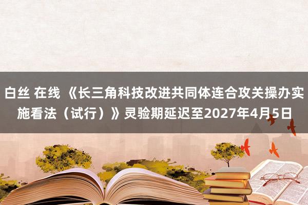 白丝 在线 《长三角科技改进共同体连合攻关操办实施看法（试行）》灵验期延迟至2027年4月5日